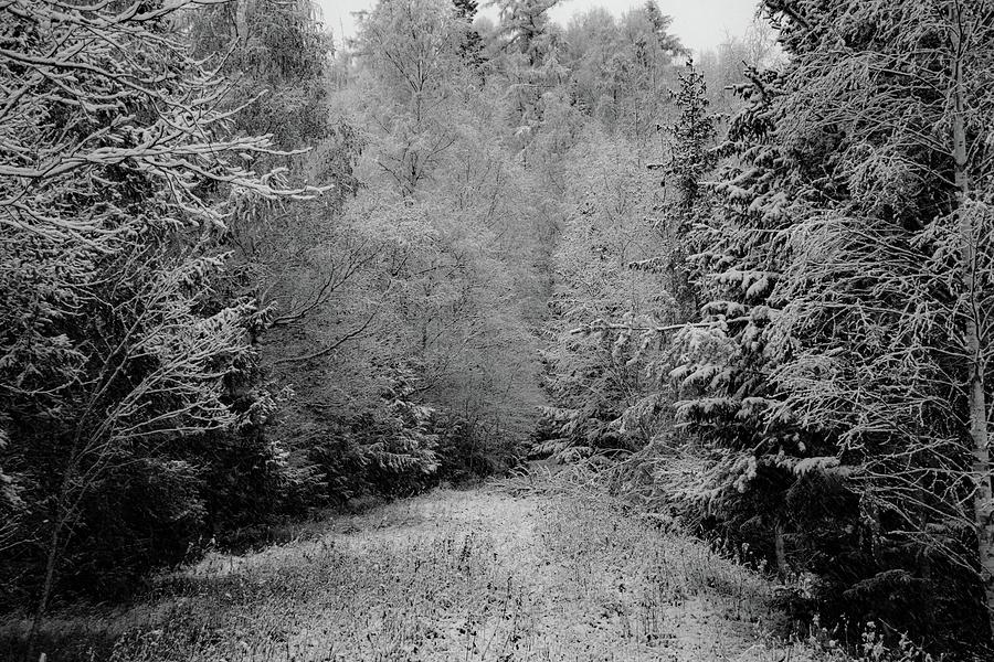 Winter wonderland #115 Photograph by Robert Grac Winter wonderland #115 Photograph by Robert Grac