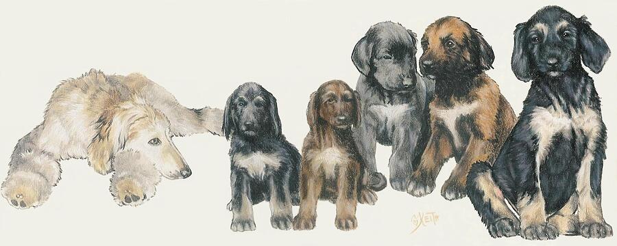 Afghan Hound Puppies Mixed Media by Barbara Keith