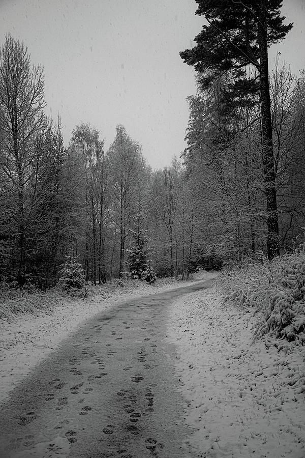 Winter wonderland #116 Photograph by Robert Grac Winter wonderland #116 Photograph by Robert Grac