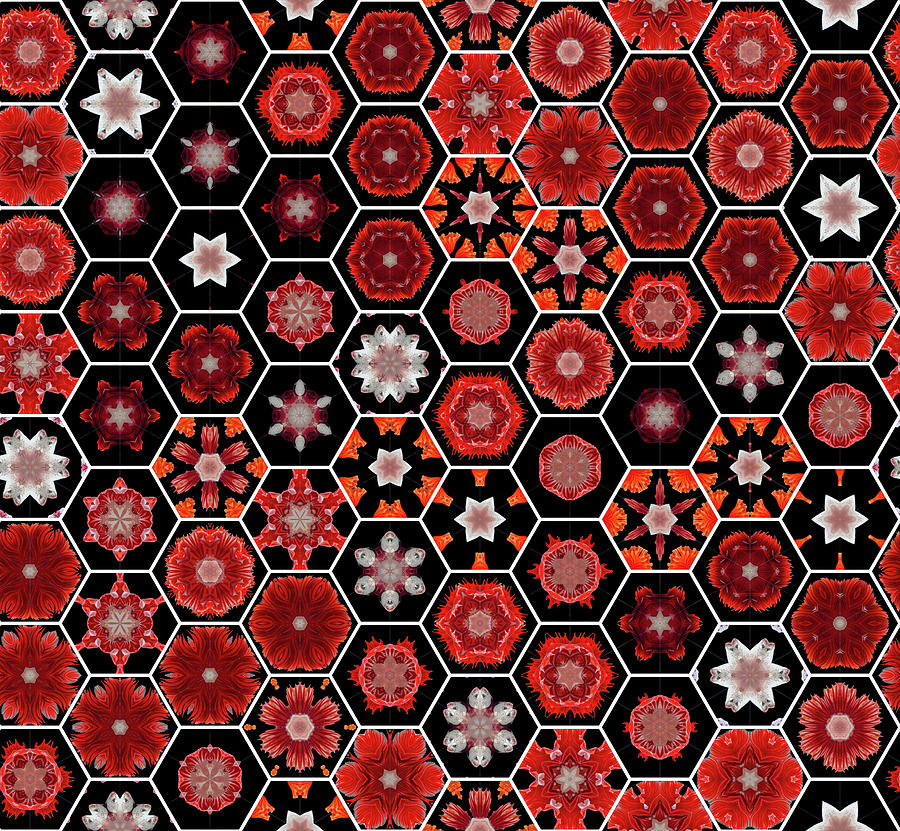 Hexagon Pattern for Apparels Digital Art by Tin Tran - Fine Art America