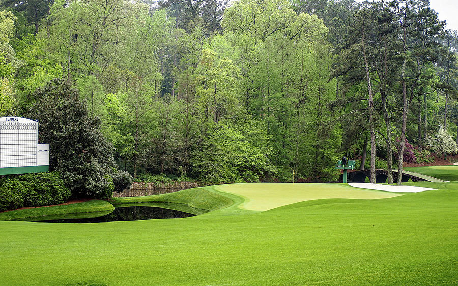 11th at Augusta...White Dogwood.. Photograph by David Choate