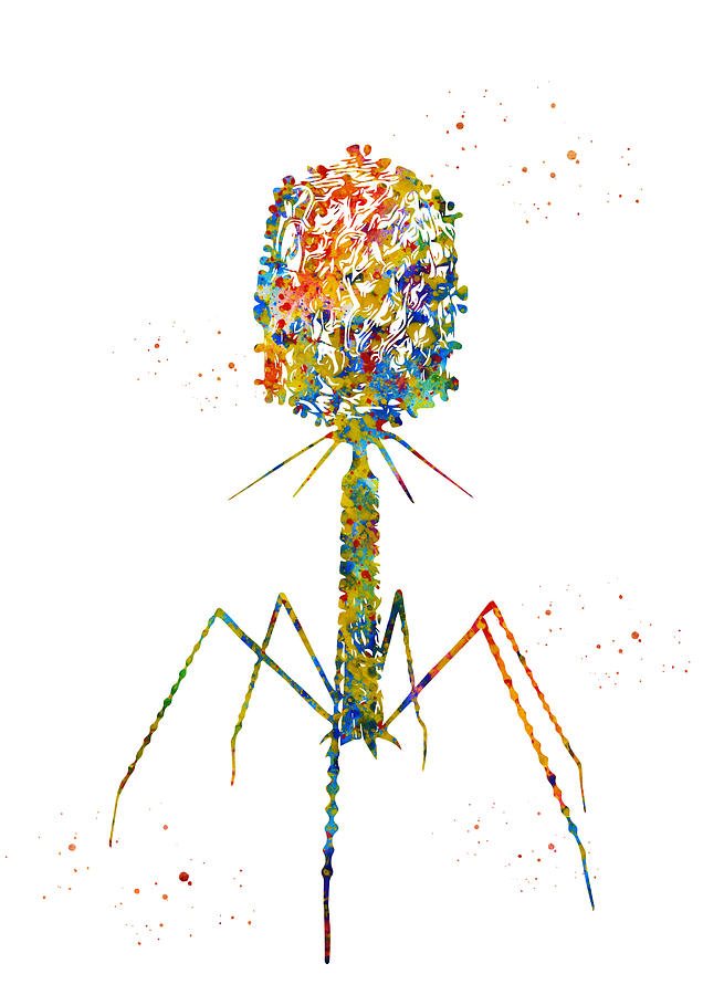 Bacteriophage Digital Art by Erzebet S - Fine Art America