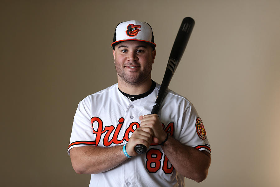 Baltimore Orioles Photo Day #12 Photograph by Rob Carr