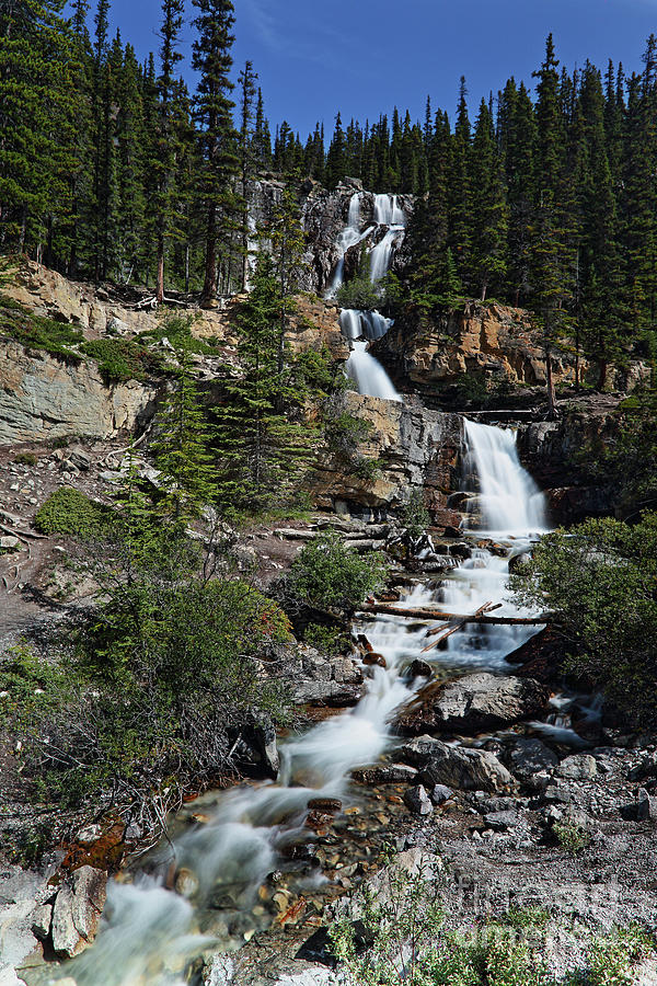 Banff and Jasper National Park #12 Photograph by Steve Javorsky