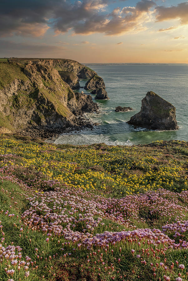 Beautiful Landscape Image During Spring Golden Hour On Cornwall Photograph