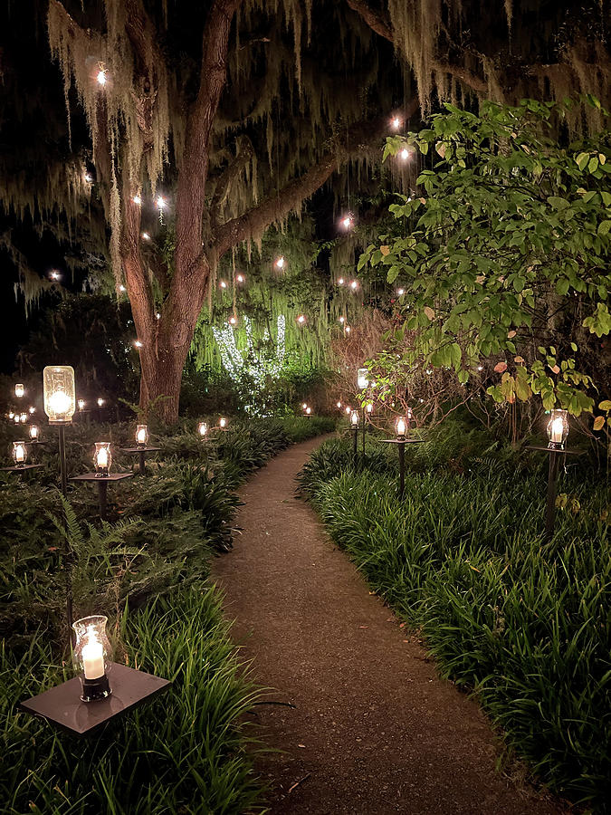 Brookgreen Gardens Festival of a Thousand Candles #13 Photograph by Dawna Moore Photography