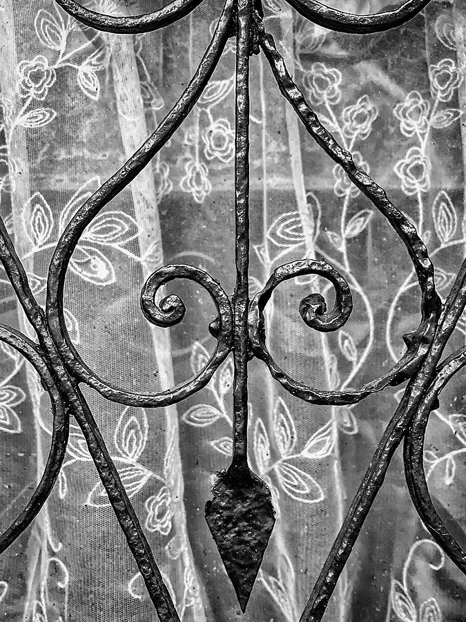 Charleston Wrought Iron Garden Gate in Detail, South Carolina #12 Photograph by Dawna Moore Photography