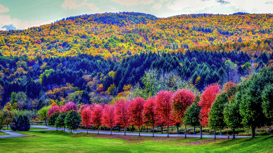 Fall Foliage Massachusetts USA #12 Photograph by Paul James Bannerman