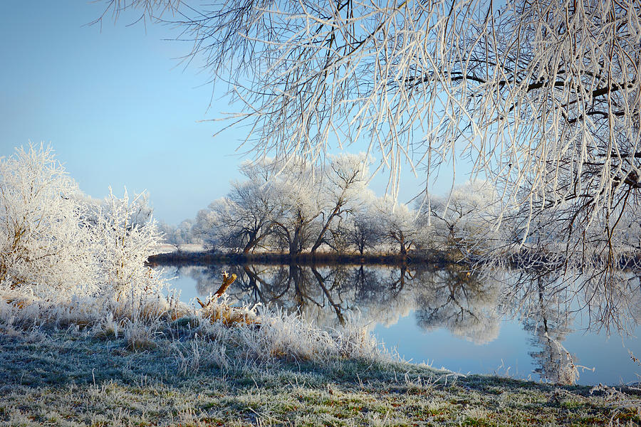 hoarfrost landscape on Havel River Havelland, Germany Photograph by Art ...