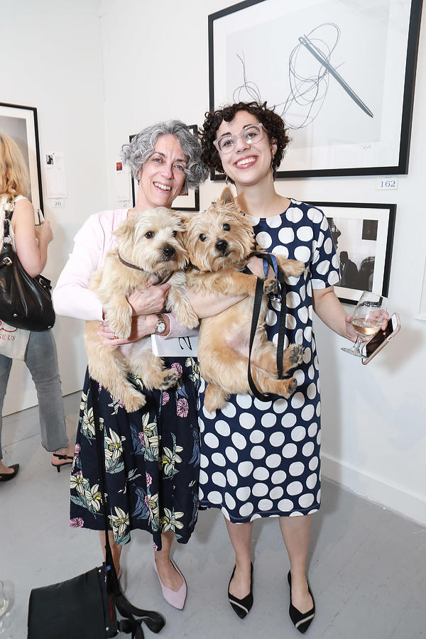 Humane Society Of New York In Partnership With Aperture Foundation Fine Art Photography Benefit Auction #12 Photograph by Gonzalo Marroquin