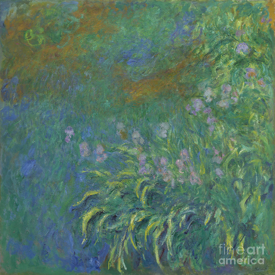 Claude Monet Painting - Irises #12 by Claude Monet
