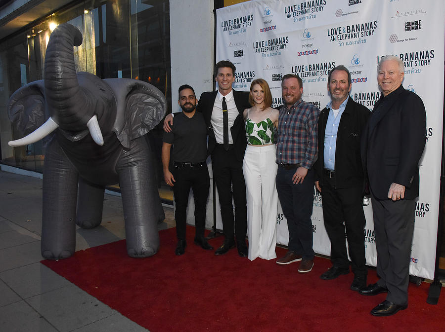 Love & Bananas: An Elephant Story Los Angeles Premiere #12 Photograph by Araya Doheny