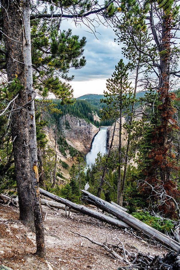 Lower Yellowstone Falls in the Yellowstone National Park  #12 Photograph by Alex Grichenko