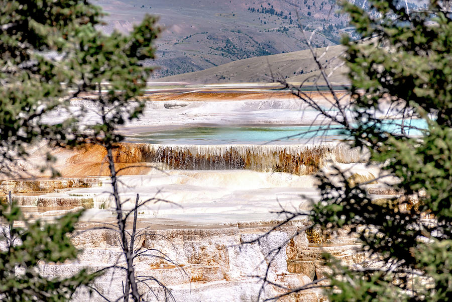 Mammoth Hot Springs in Yellowstone National Park. USA #12 Photograph by Alex Grichenko