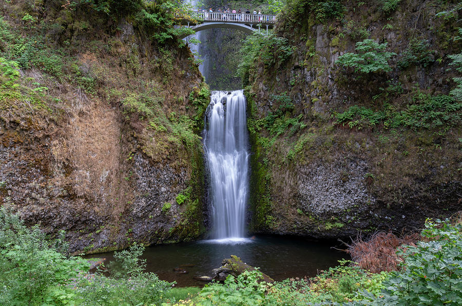 Multnomah Falls Oregon #12 Photograph by Tommy Farnsworth