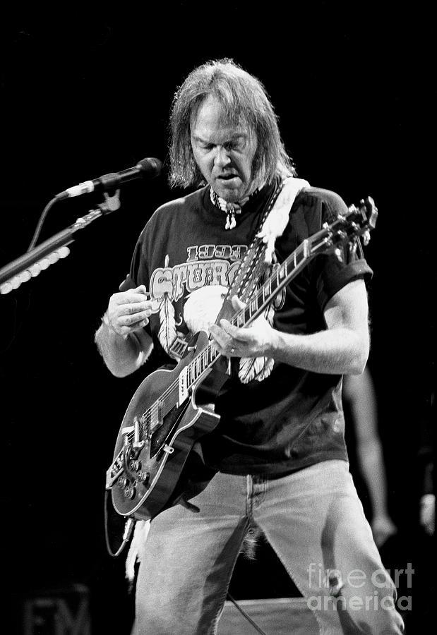 Neil Young Photograph by Concert Photos - Fine Art America