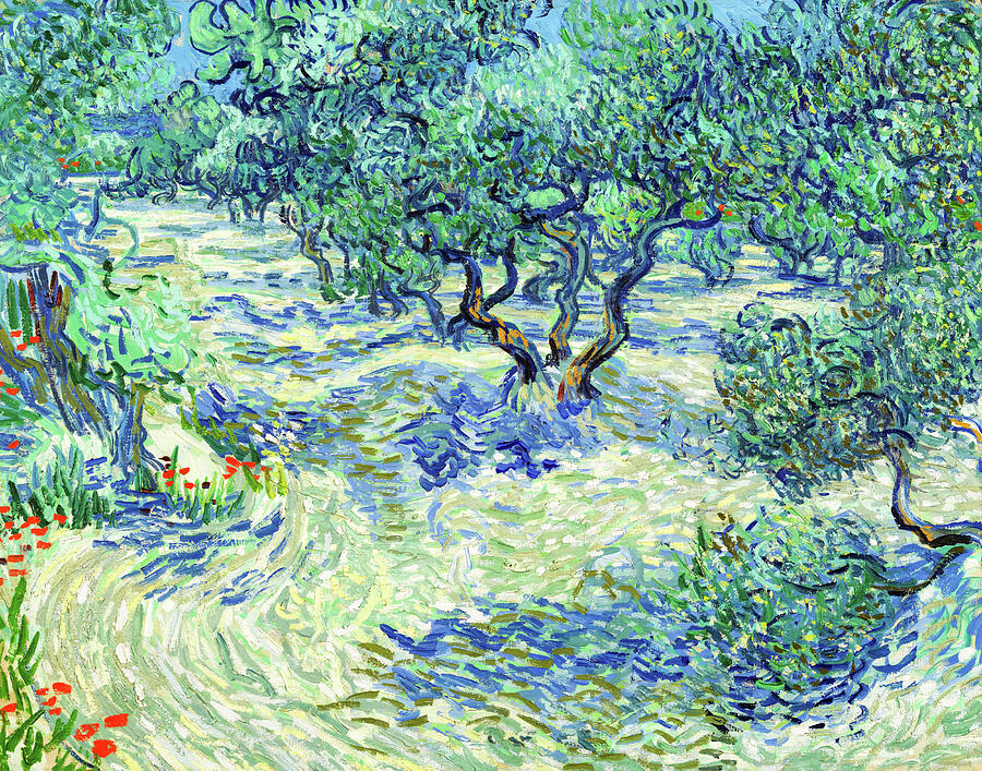 Vincent Van Gogh Painting - Olive Orchard by Vincent van Gogh by Mango Art