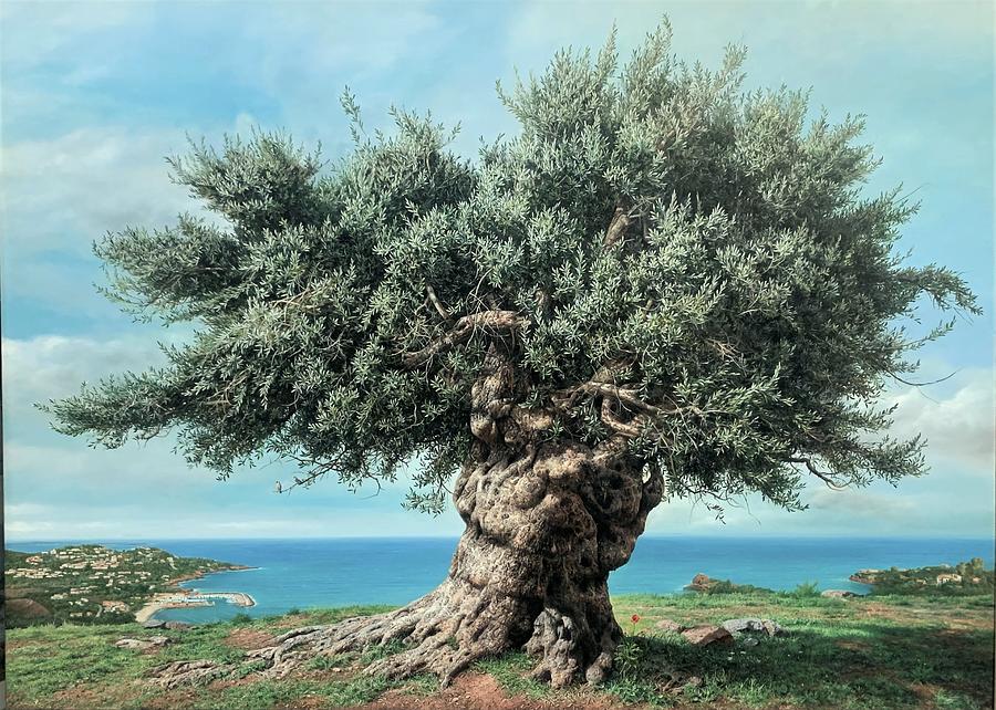 Olive Tree Painting By Elidon Hoxha Pixels