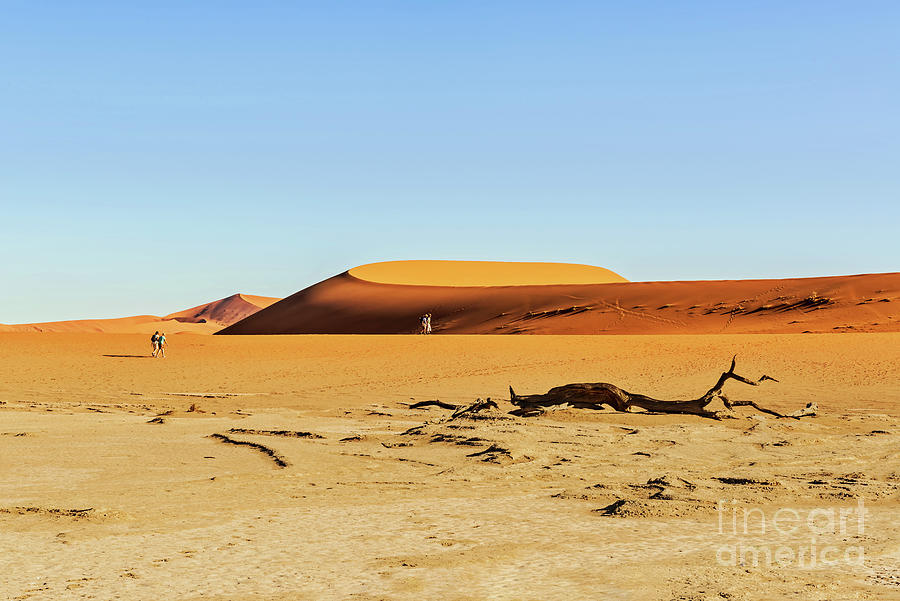 Sand Dune In The Namibian Desert Near Sossusvlei In Namib-Nauklu ...