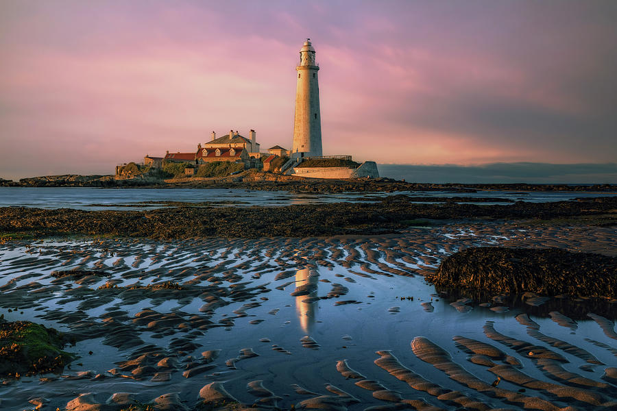 St Marys Lighthouse - England #12 Photograph by Joana Kruse