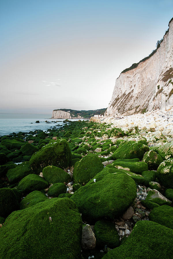 Sunrise at the White Cliffs of Dover #12 Photograph by Ian Middleton