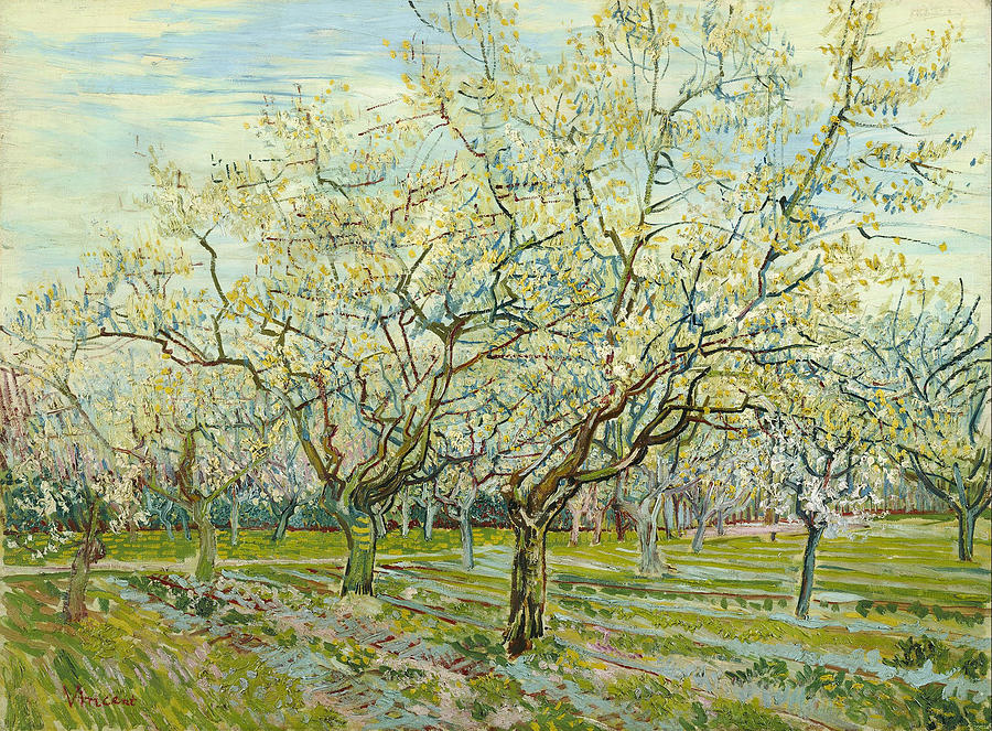 The White Orchard #12 Painting by Vincent van Gogh