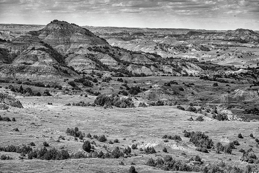 Theodore Roosevelt National Park Photograph by Gestalt Imagery - Fine ...