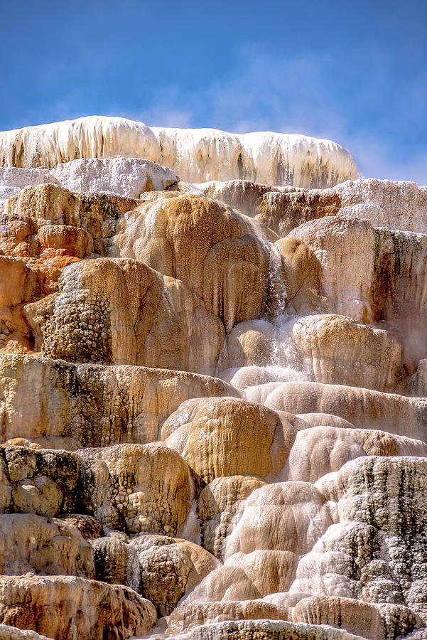 Travertine Terraces, Mammoth Hot Springs, Yellowstone #12 Photograph by Alex Grichenko