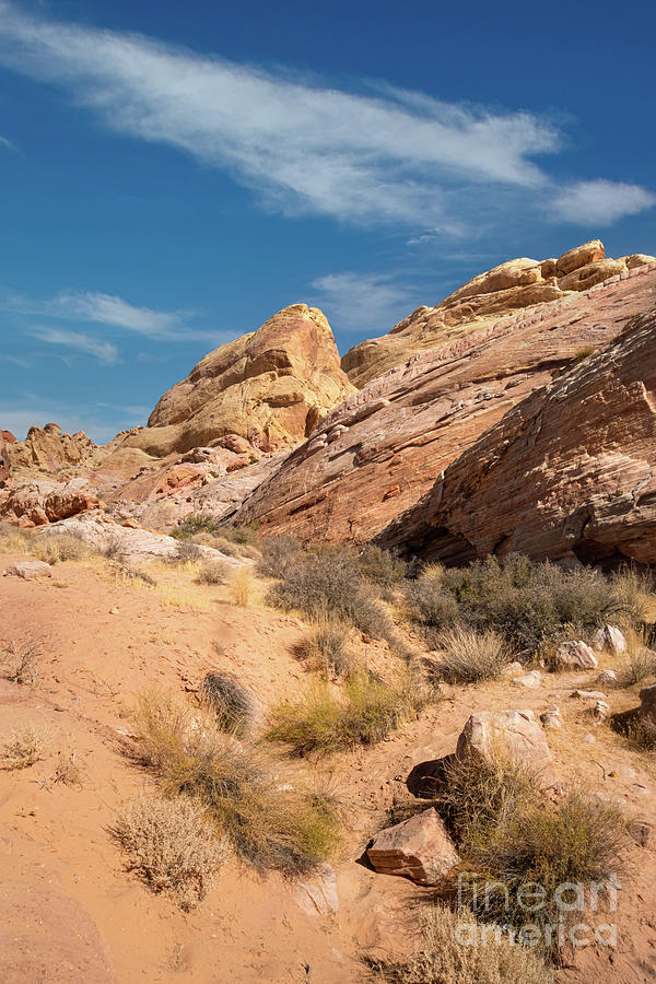 Las Vegas Photograph - Valley of Fire State Park #12 by Amy Cicconi