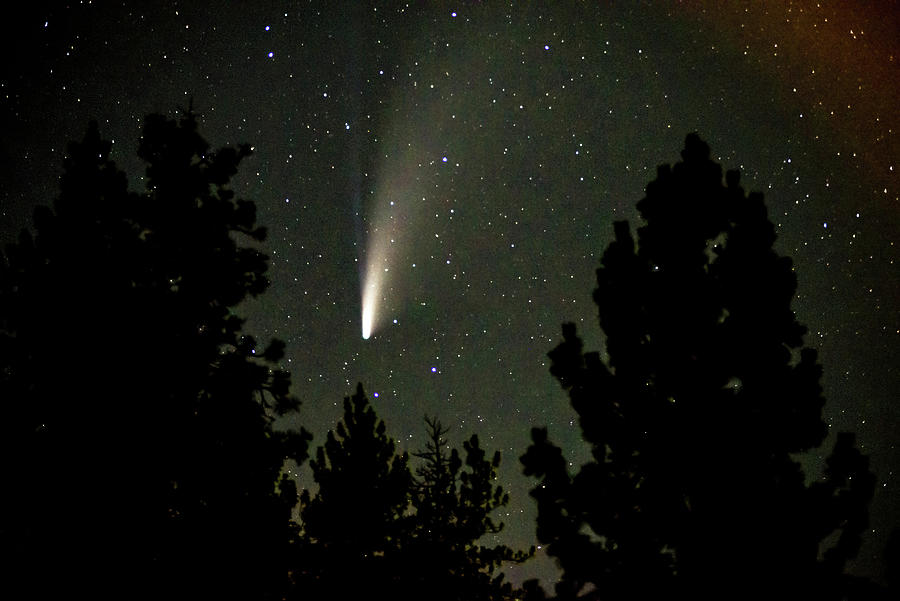 View Of Comet Neowise In The Night Sky #12 Photograph by Alex Grichenko