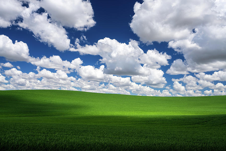 Windows XP Bliss-like Photograph by Neal G - Pixels