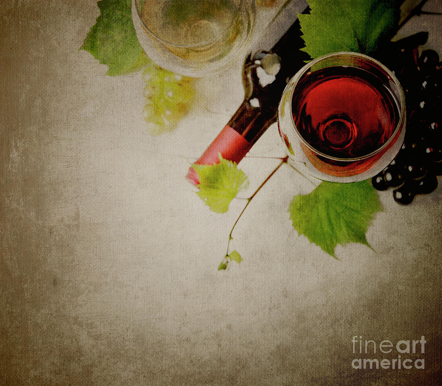 Wine #12 Photograph by Jelena Jovanovic