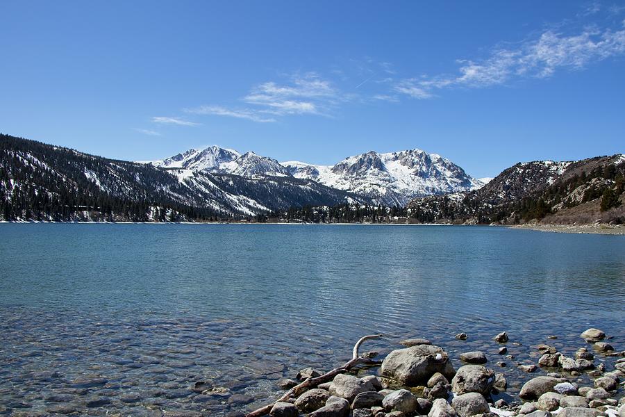 Sierra Snow Days Photograph by Andrew Webb Curtis - Fine Art America