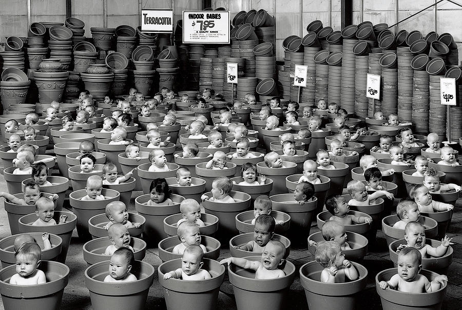 Black & White Photograph - 123 Pots by Anne Geddes