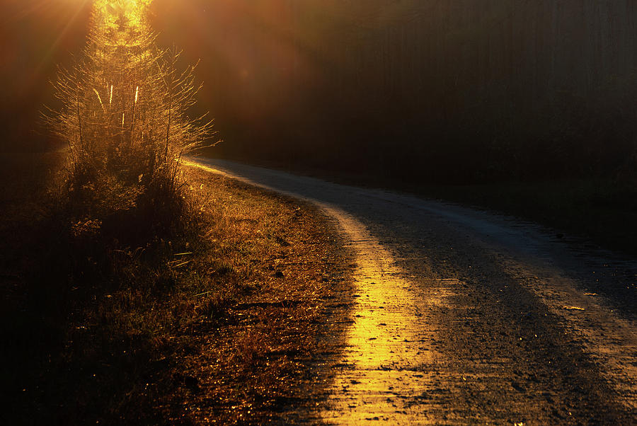Sunset Photograph - Road to Dreams by Norma Brandsberg