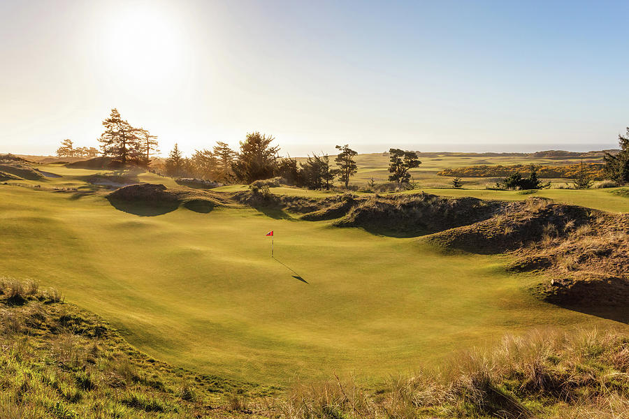 12th hole at Bandon Preserve Golf Photograph by Mike Centioli - Pixels