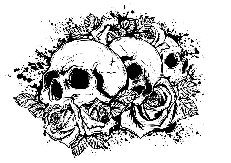 A Human Skulls With Roses On White Background Digital Art By Dean Zangirolami Fine Art America