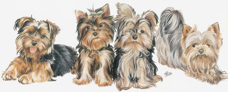 Yorkshire Terrier Pups Mixed Media by Barbara Keith