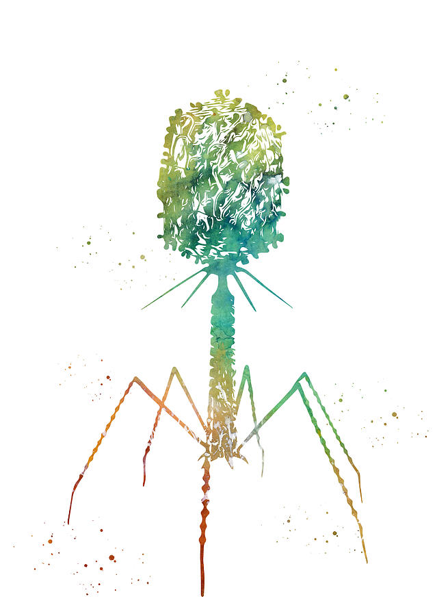 Bacteriophage #13 Digital Art by Erzebet S - Pixels