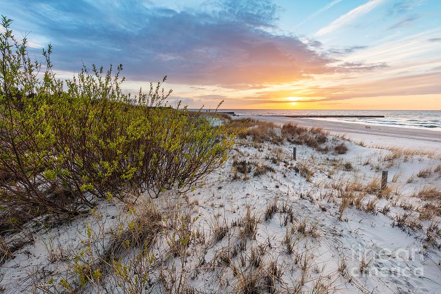 Beach grass on dune, Baltic sea at sunset #13 Photograph by Michal Bednarek