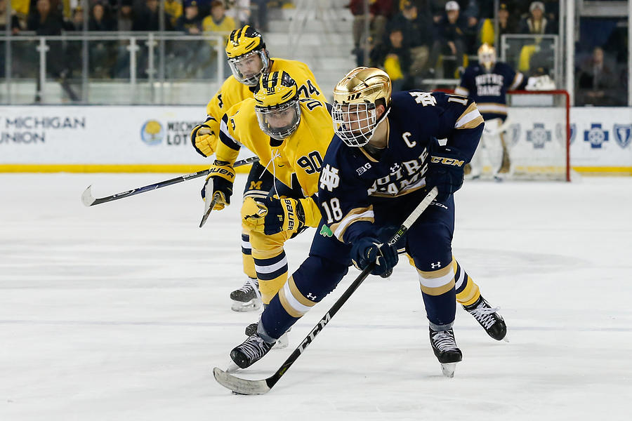 COLLEGE HOCKEY: JAN 05 Notre Dame at Michigan #13 Photograph by Icon Sportswire