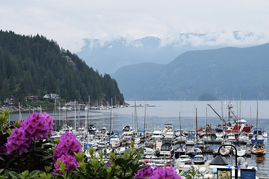 Deep Cove North Vancouver BC Canada Photograph by Gregoz Gawronski - Pixels