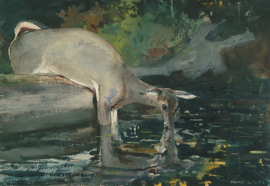 Wildlife Painting - Deer Drinking #13 by Winslow Homer