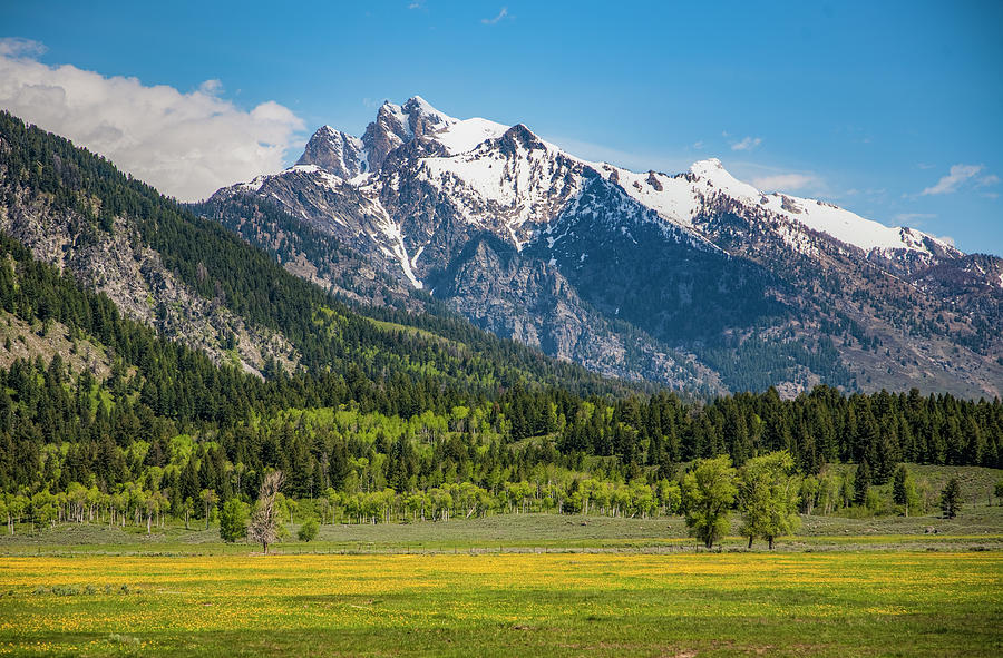 Grand Tetons National Park #13 Photograph by Tommy Farnsworth