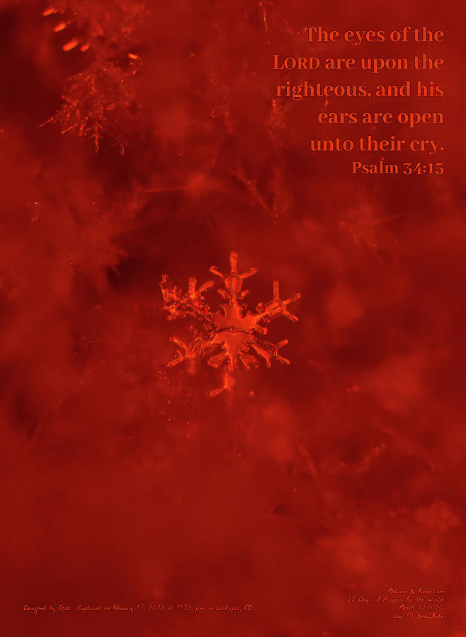 Inspirational Real Life Snowflake Photograph Bible Verse Scripture ...