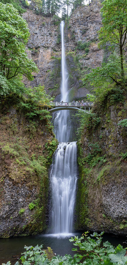 Multnomah Falls Oregon #13 Photograph by Tommy Farnsworth