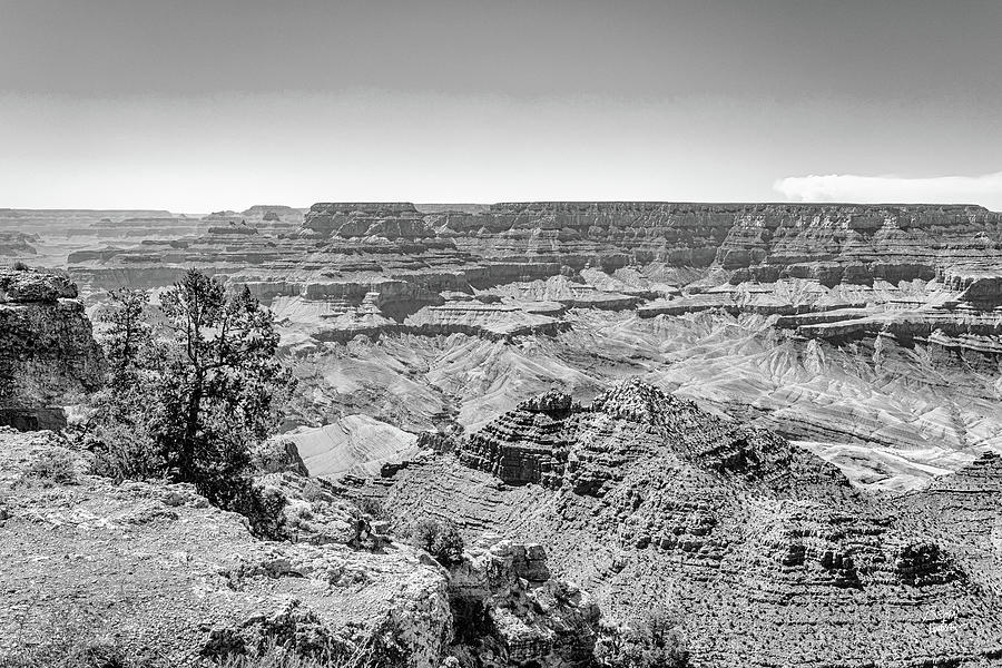 Navajo Point Grand Canyon Photograph by Gestalt Imagery - Fine Art America