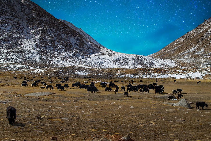 Panorama of Starry night in Norther part of India #13 Photograph by Primeimages