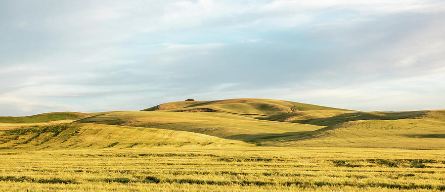 Rolling hills and Farm Land at palouse washington #13 Photograph by Alex Grichenko