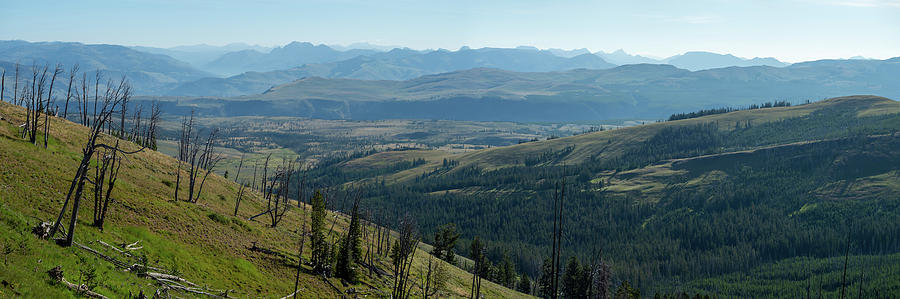 scenery at Mt Washburn trail in Yellowstone National Park, Wyomi #13 Photograph by Alex Grichenko
